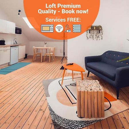 Loft Lumineux Tres Spacieux - Parking Gratuit Châteauroux Екстериор снимка